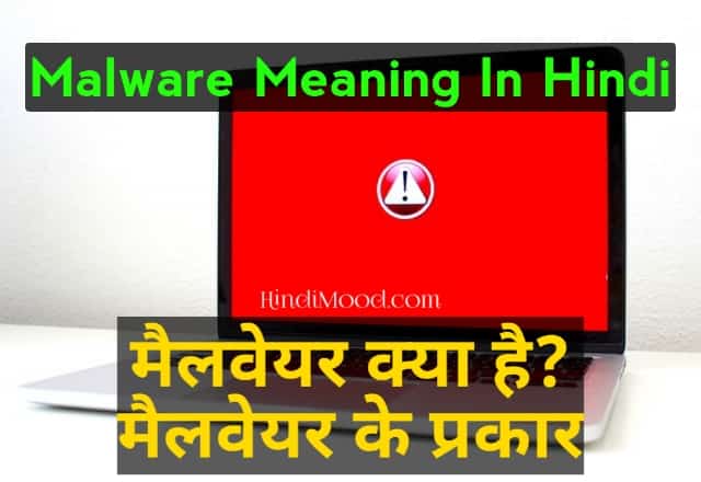 Malware meaning in Hindi